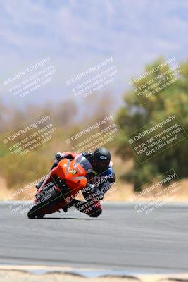 media/May-15-2022-SoCal Trackdays (Sun) [[33a09aef31]]/Turn 7 (1145am)/